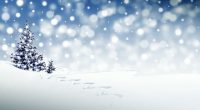 Winter break Friday, December 22 – Friday, January 5, 2024.   We hope our Cariboo Hill families will have a relaxing break with family and friends.  We will be refreshed and […]